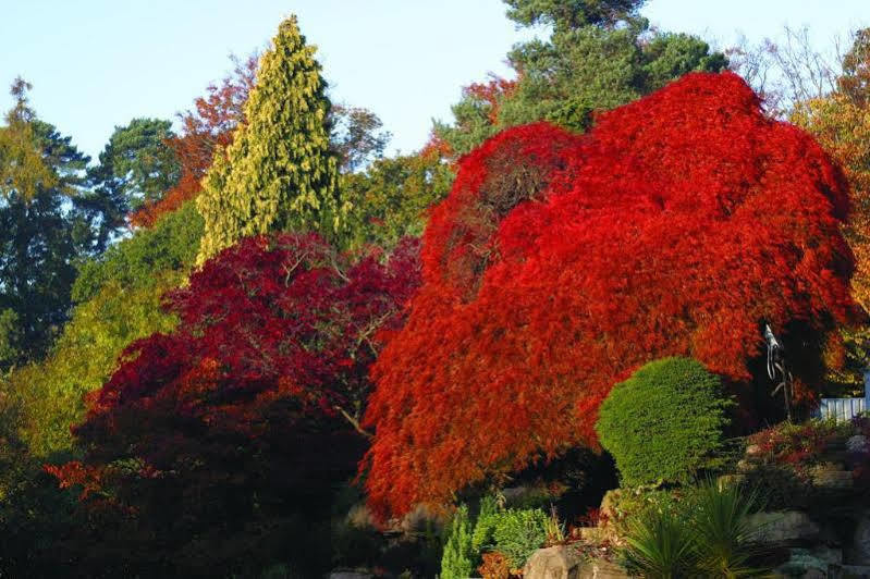 Sunningdale Park